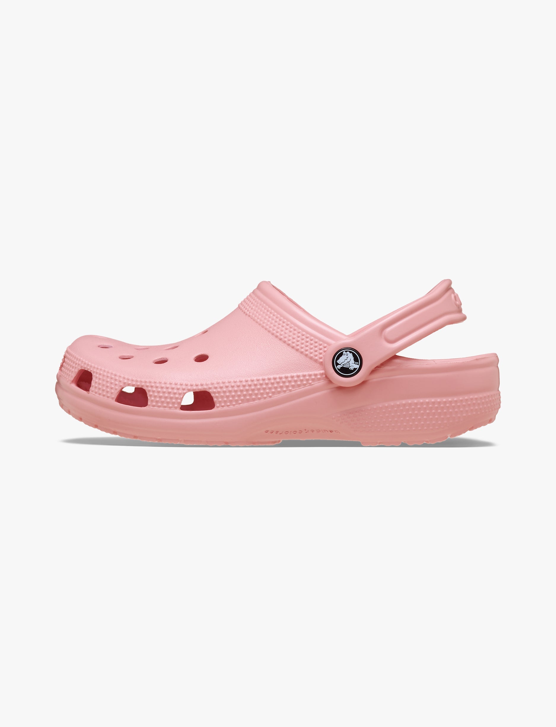 Crocs Classic - כפכפים קלאסיים קרוקס בצבע ורוד אבקתי
