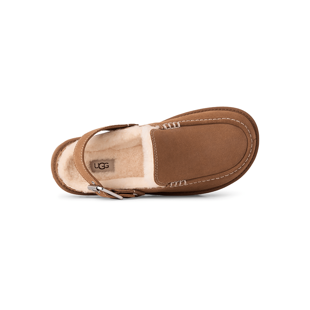 כפכפי UGG Goldenstar Evelina Clog נשים - ugg-1180251-CHE-36