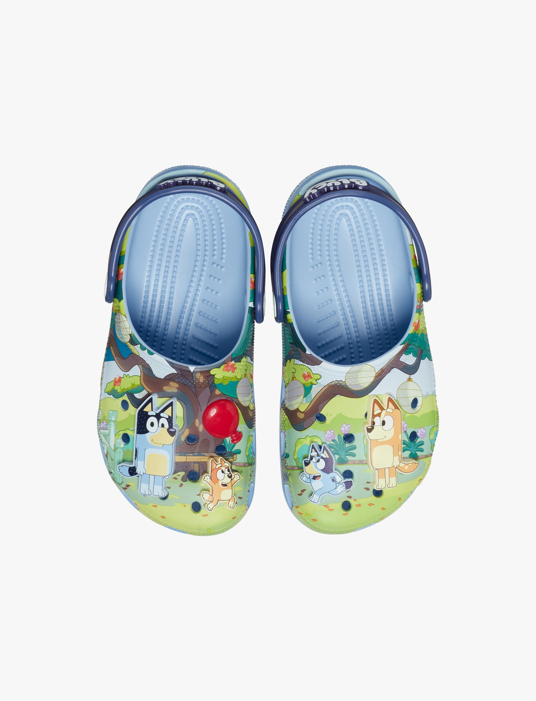 Crocs Toddler Bluey Classic Clog K - כפכפי קרוקס בלואי לילדים