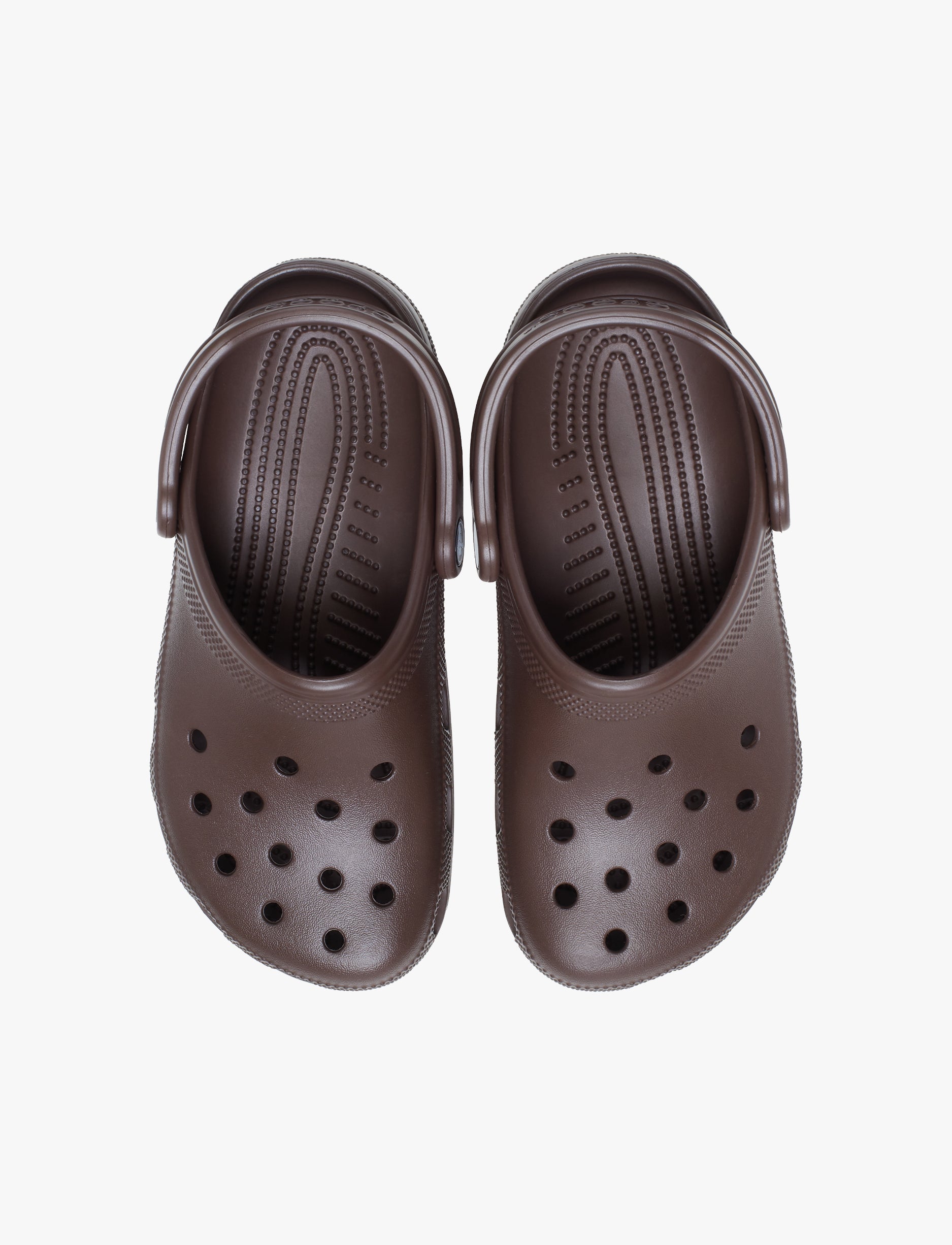 Crocs Classic - כפכפי קרוקס קלאסים בצבע קפה