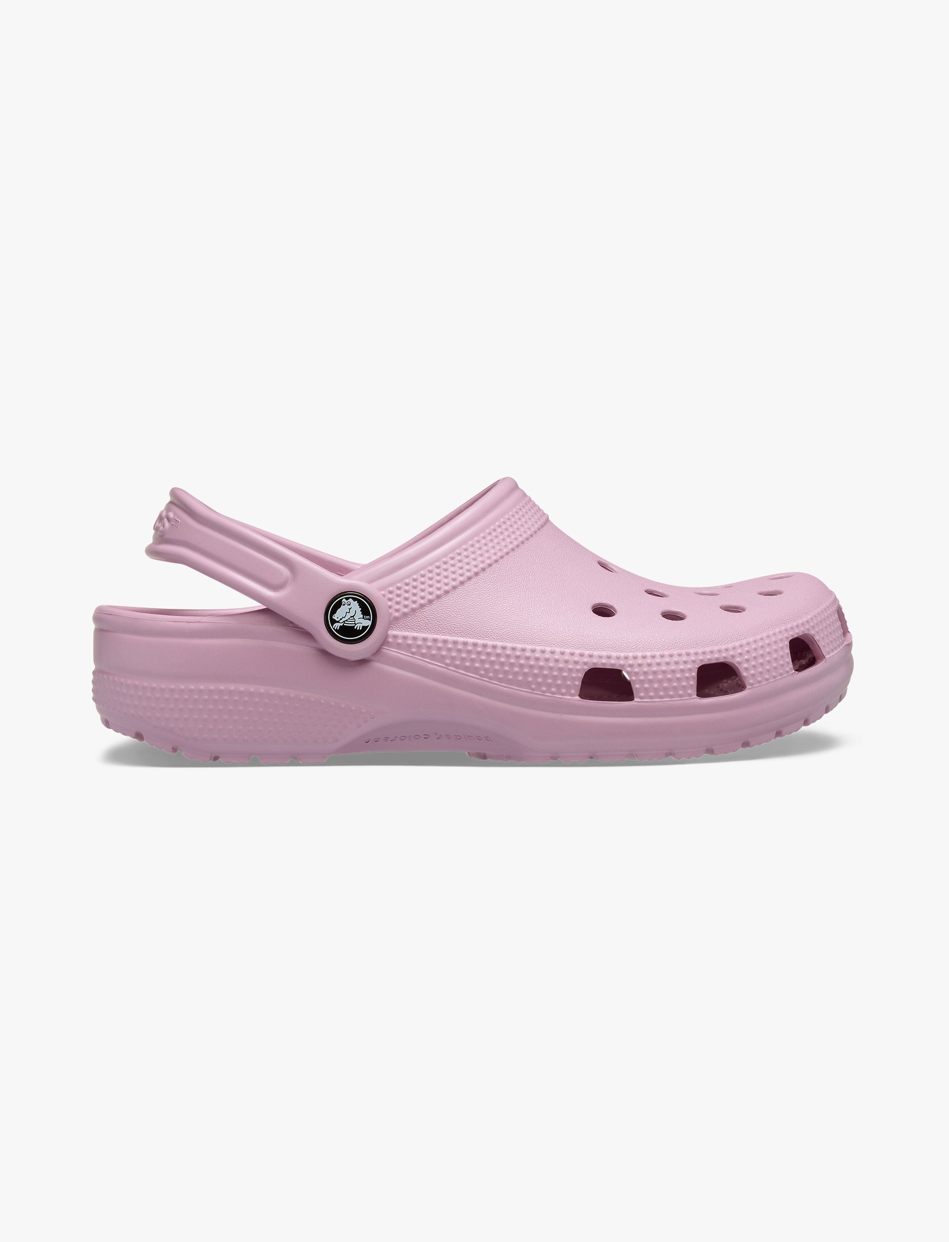 Crocs Classic - כפכפי קרוקס קלאסים בצבע ורוד/סגול הידרה