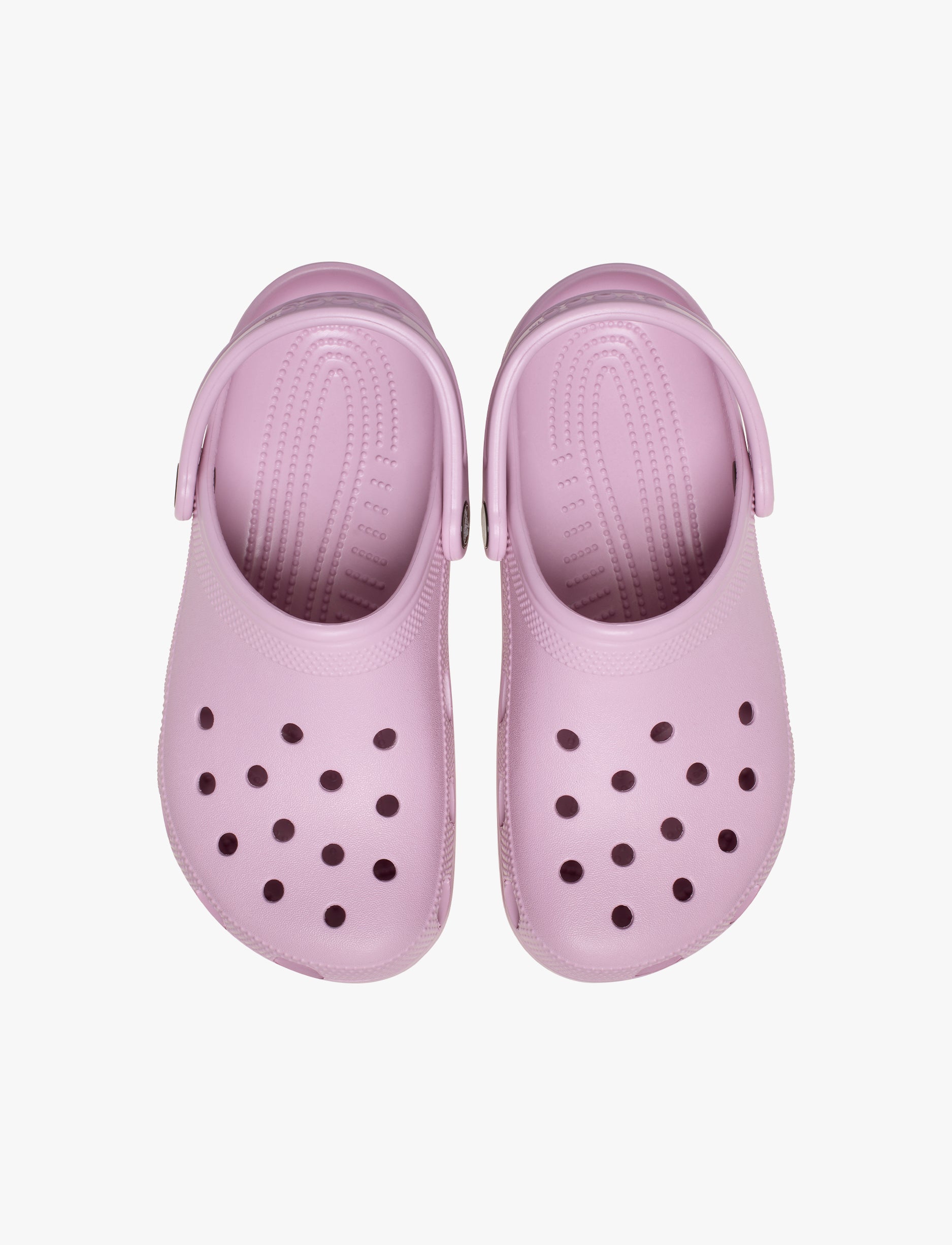 Crocs Classic - כפכפי קרוקס קלאסים בצבע ורוד/סגול הידרה