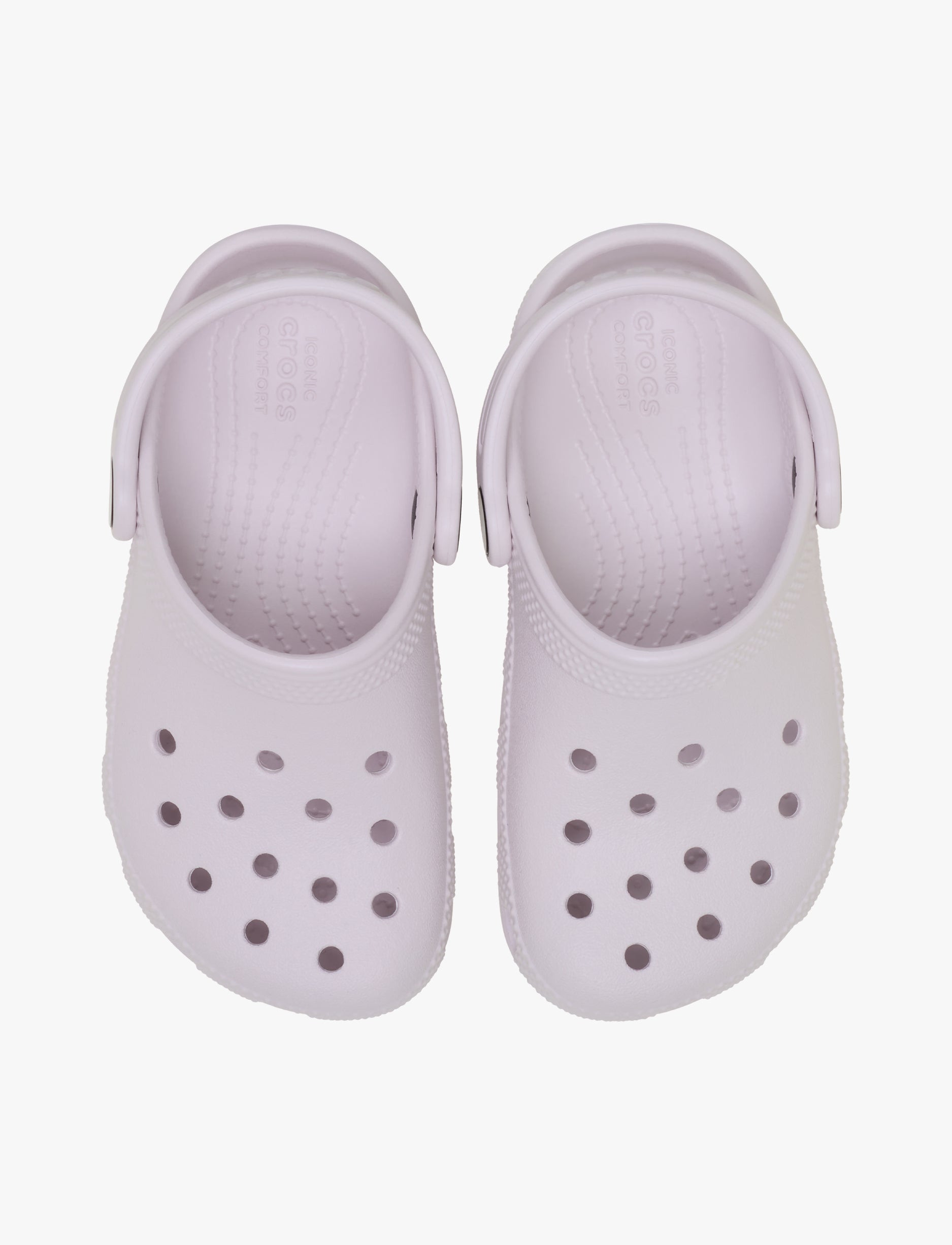 Crocs Classic Clog T - כפכפי קרוקס קלאסיים מידות קטנות לילדים בצבע סגלגל ענבים