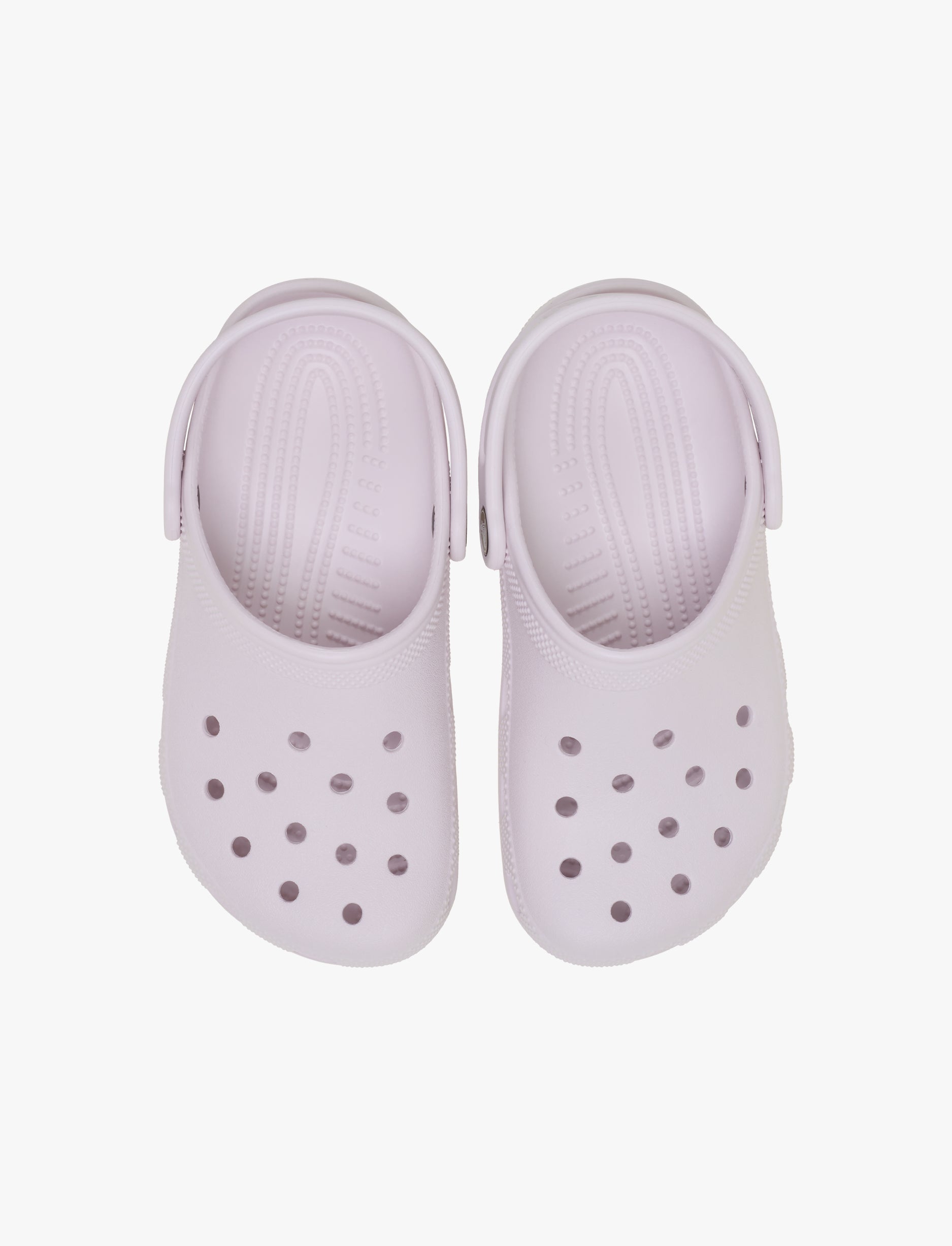 Crocs Classic Clog K -  כפכפי קרוקס קלאסיים לילדים בצבע סגלגל ענבים