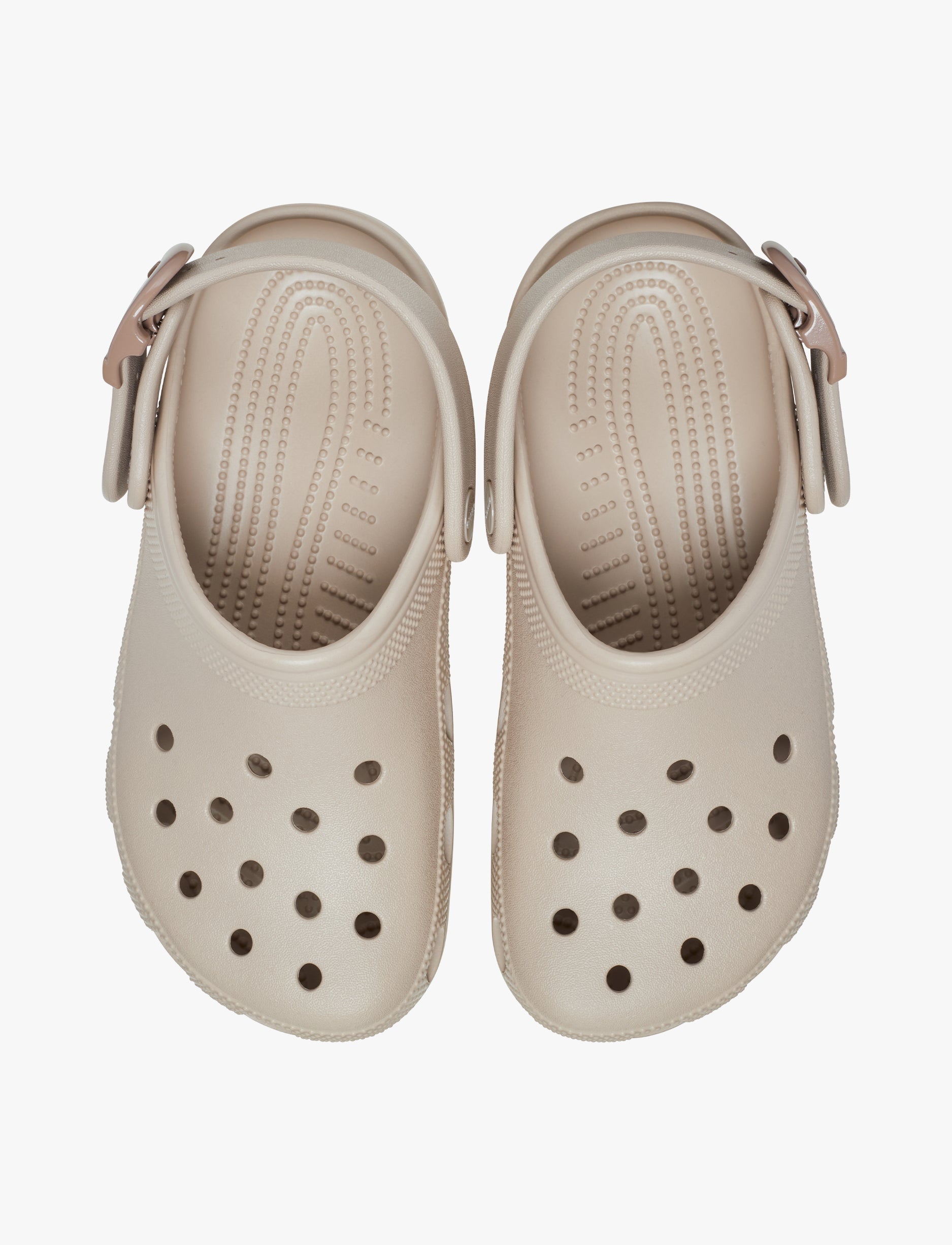 Crocs Classic Buckle Clog - כפכפי קלוג קרוקס עם אבזם בצבע דולסה
