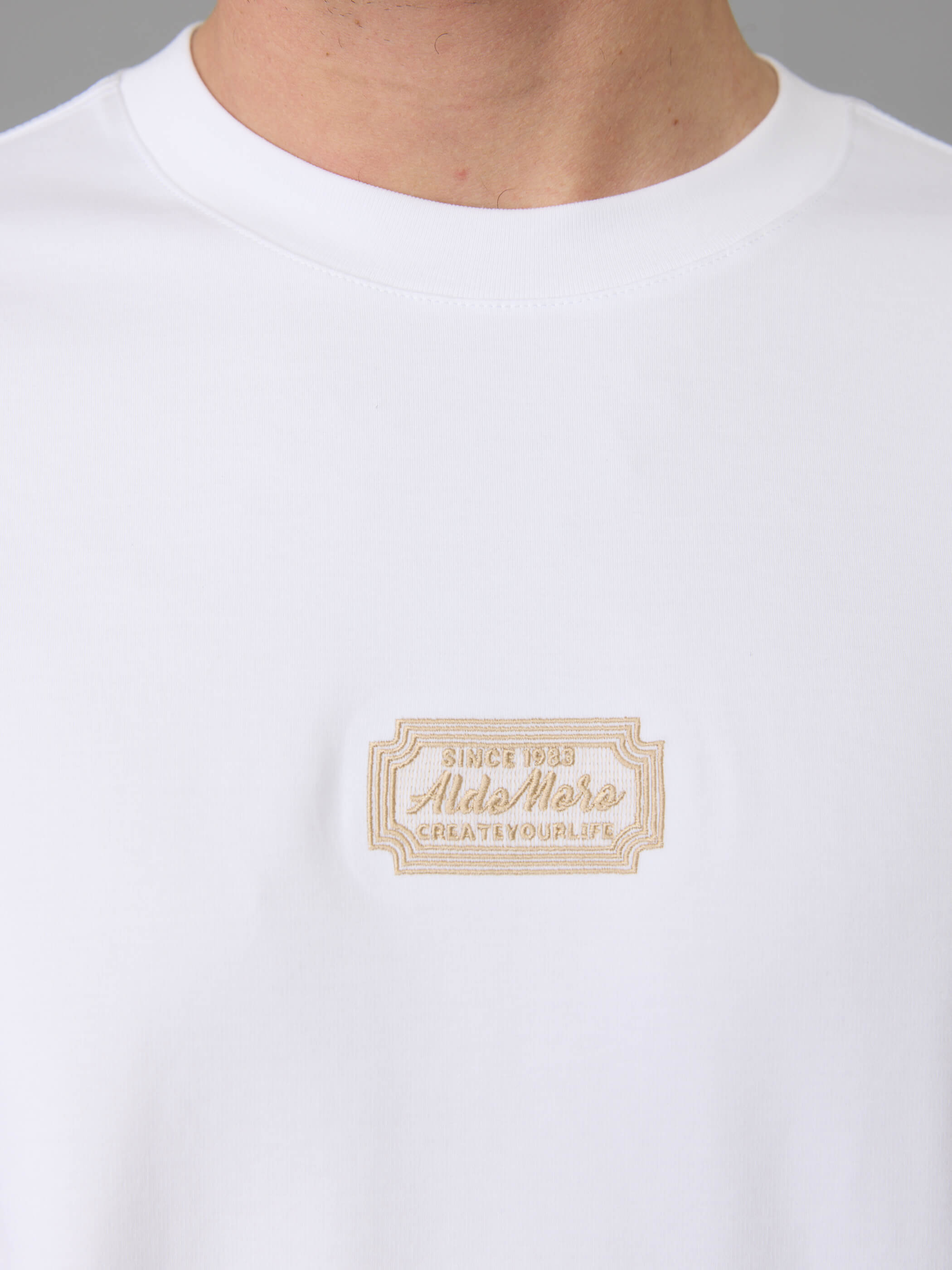 חולצת טישירט קצרה אלדו מורו Back Print גברים